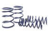HR Sport Springs