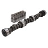 01fd80d8408fa9317451a89c210cd570 EDE Performer-Plus Camshaft