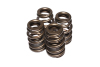CCA Valve Spring Sets