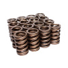 1c0c3d24fa2a40310f655ebf6bd29362 EDE Valve Springs
