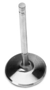 EDE Intake Valves
