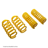 2573645347b506b2aa1f5c6368800385 STS Lowering Springs