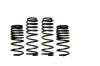 SKY Coil Springs
