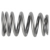 FR Valve Spring Kits