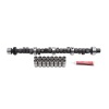 45aa80d0d193fdbbc0453e2bc3593aef EDE Performer RPM Camshaft