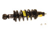 KYB Shocks & Struts Strut Plus