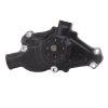 EDE Water Pump