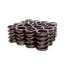 EDE Valve Springs