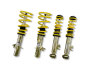 5ff5d38430924c5b71c7cdcf2029e157 STS Coilover