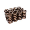692a5f45f3bab14df4d22e818f51f040 EDE Valve Springs