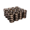 EDE Valve Springs