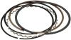 82e315a3-5afa-40c0-9486-c86dc3d9d120-100 CPP Piston Rings
