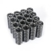 SK Tuner Valve Springs
