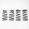 857f1ea366224ec32b370e4185c7961f-3 RSR Down Sus Springs