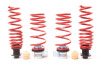 HR VTF Adj Lowering Springs