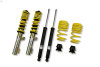 880b14e75e1721f6f075d432f9b4cee1 STS Coilover