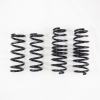 RSR Super Down Springs