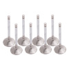 EDE Exhaust Valves