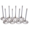 EDE Intake Valves