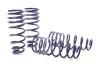 bd08d0b61c070ed12ff3f79494e82f7aS HR Sport Springs