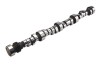c29c6d6edb157895ca651473f24c549b CCA Camshafts