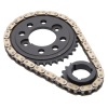 EDE Timing Chain