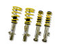 d6bd47b4068b513dadb27ac8f0eb4b00 STS Coilover