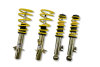 d9ffa26e1f91e243cd065ba0d4f270b3 STS Coilover