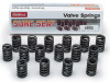 de7bdc49f50c59ebcea83c7aff481d68 EDE Valve Springs