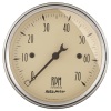 AM Antique Beige Gauges