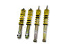f3d0dba7646e4d5d14c4389c224ade9b STS Coilover