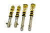 f50baac7328d95a8c330fe01e5c146b5 STS Coilover