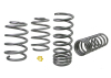 f728c470518caddbebe4d49cf35d15e2S WL Performance Springs