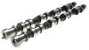 group-44694d14-33e2-4e18-9391-025cf89445b2-100 BC Camshaft Sets