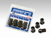 RAY Hex Lug Nuts & Lock