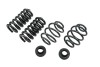 BT Lowering Kit w/o Shocks