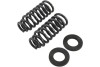 BT Pro Coil Spring Set