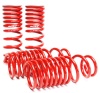 SK Lowering Springs