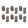 IND PDM Valve Springs