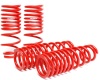 SK Lowering Springs