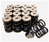 2780bbf7-f3f5-4061-9f45-f9113c4b4c11-100 GSC Valve Spring Kits
