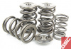 318ef1fd4a3d39024abb40d2ac494103 GSC Valve Spring Kits