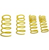 STS Lowering Springs