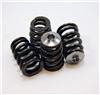 46fc1afa-e2db-4835-8aa3-effa65bb2264-100 GSC Valve Spring Kits