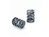 47d8bb450faedb18d84aad57dab16434-8 SPT Dual Valve Springs