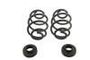 BT Pro Coil Spring Set