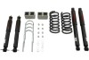 BT Lowering Kit w ND2 Shocks