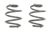 BT Coil Spring Set