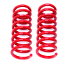 BMR Lowering Springs
