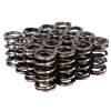 SK Pro Valve Springs